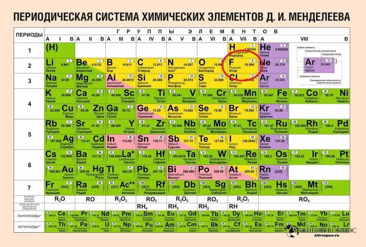      Место фтора в таблице Менделеева. Из открытых источников.
