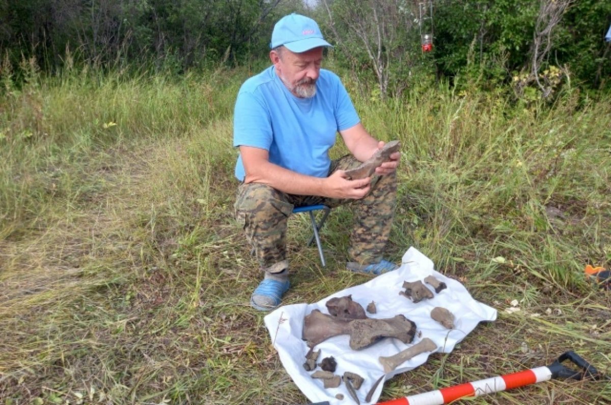    В Якутии обнаружили древние останки носорога и мамонта