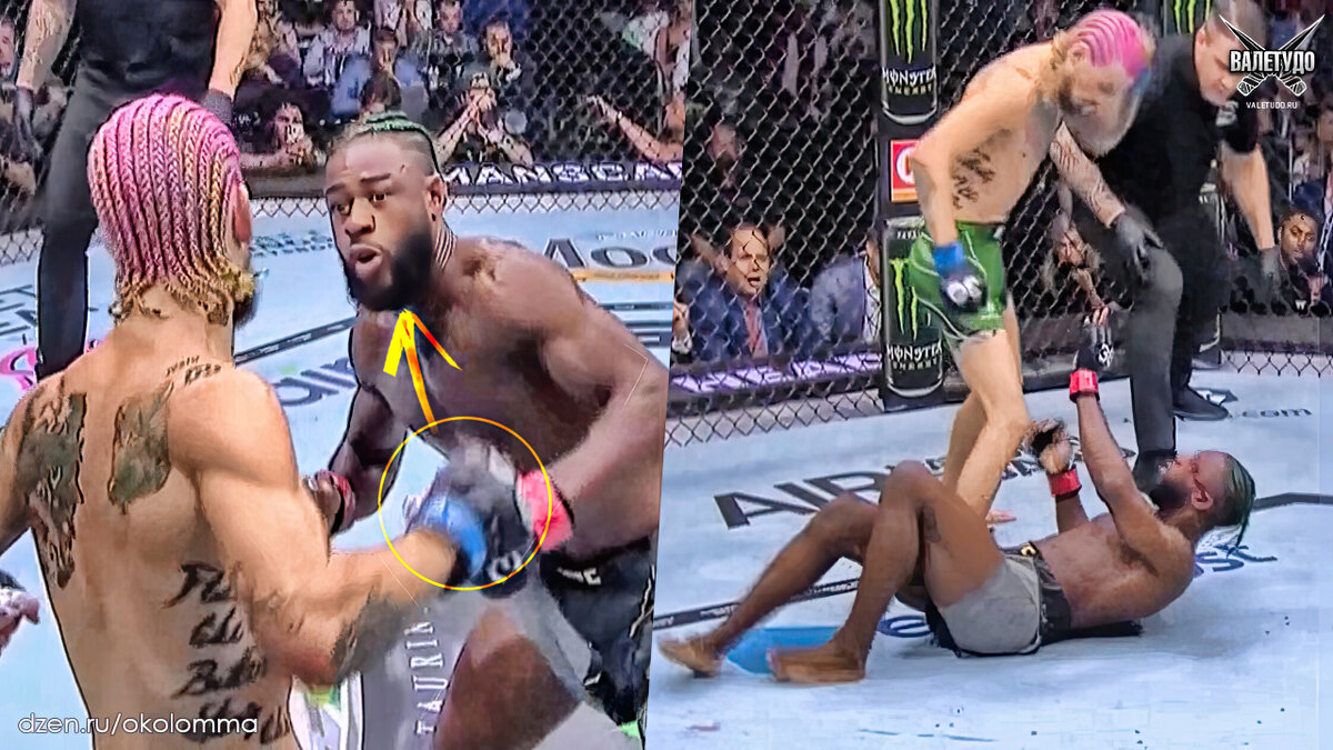 Шон О'Мэлли нокаутировал Алджамейна Стерлинга