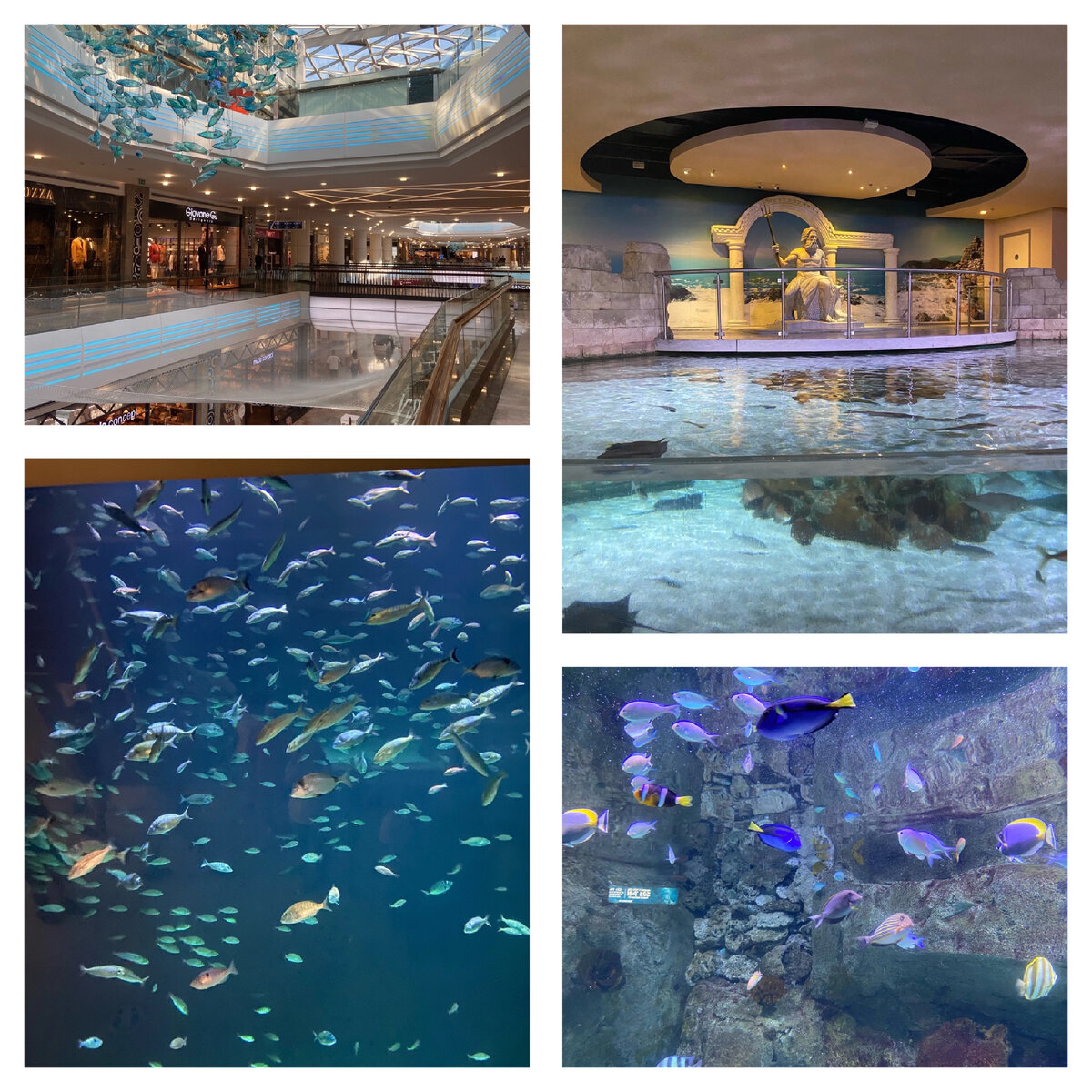 Океанариум Флория