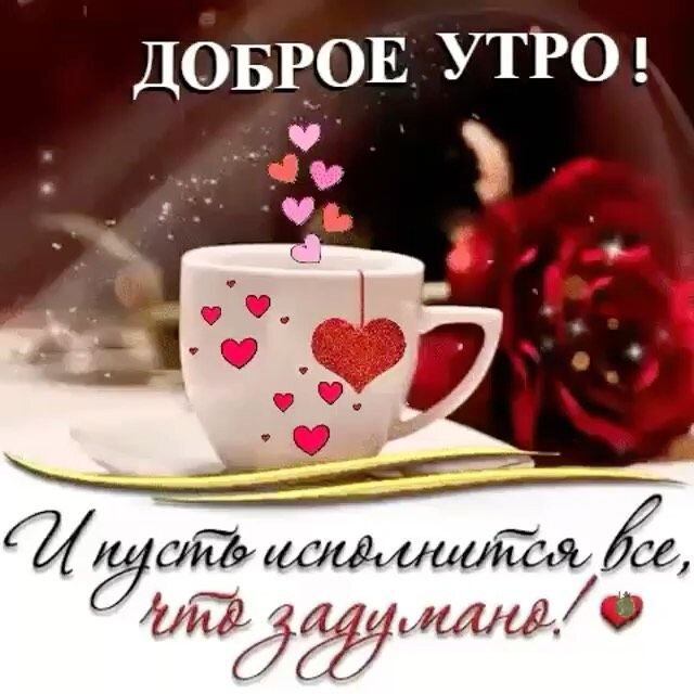 Яндекс. Открытый источник