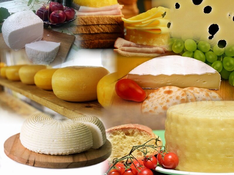 Оценка качества сыра. Качество сыра. Фальсифицированный сыр. Проверка качества сыра. Как определить качество сыра.