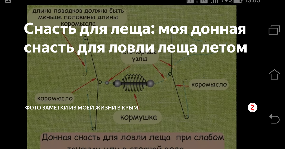 Ловля леща на фидер осенью - тактика, снасти и прикормки LoviTut.ru (Рыбалка и Б