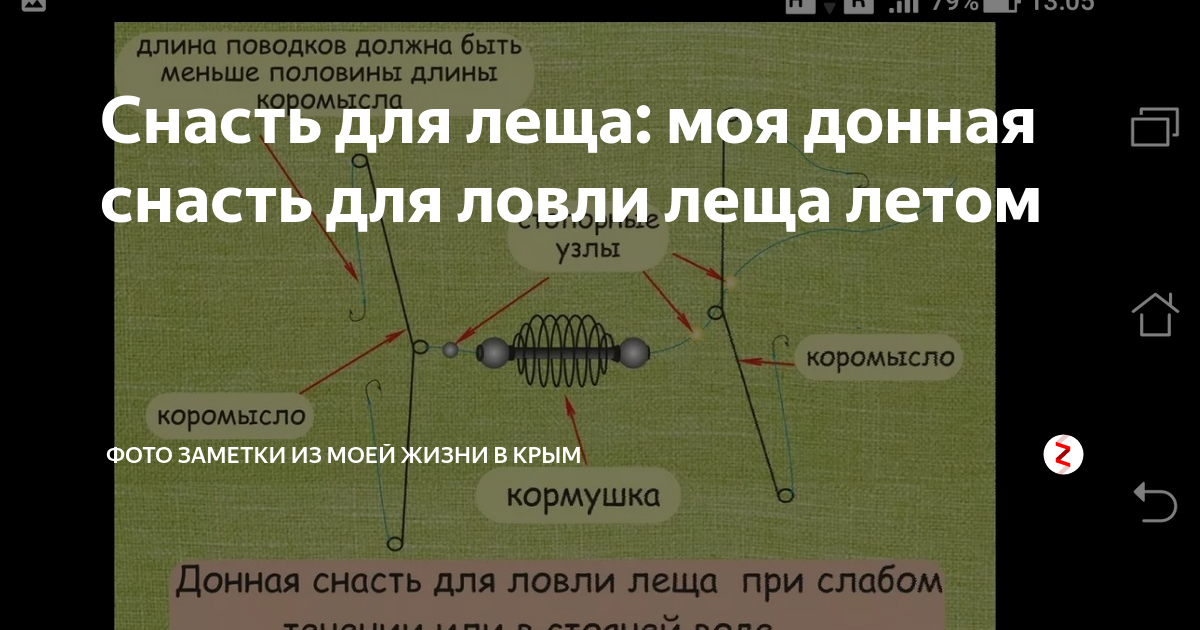 Снасти на леща летом. Снасти фидера для ловли леща летом. Снасть для ловли леща и подлещика. Снасти для ловли леща на реке с течением. Донная оснастка для ловли леща на течении.