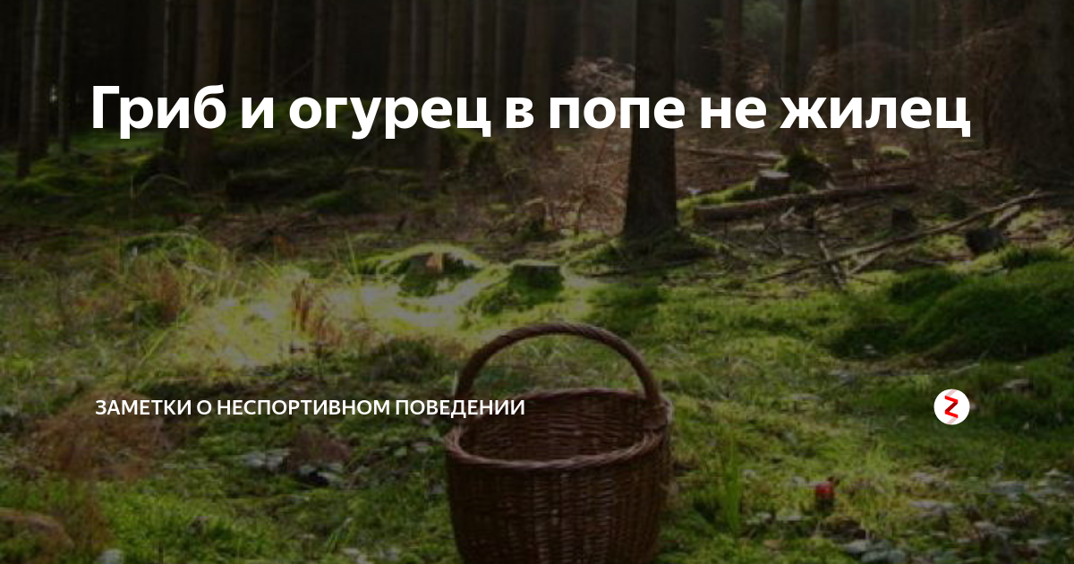 Не жилец. Гриб и огурец в желудке не жилец. гриб да огурец в животе не жилец пословица.