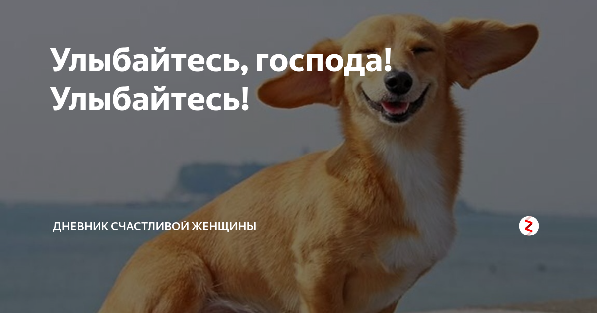 Я улыбаюсь господа я улыбаюсь. День улыбки. Барон мюнхгаузен янковский улыбайтесь господа улыбайтесь. Янковский мюнхгаузен улыбайтесь. Я улыбаюсь господа я улыбаюсь.