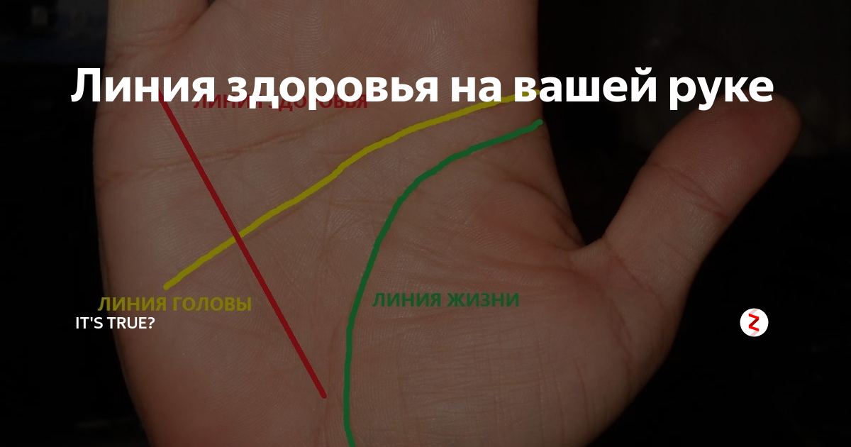 Прямая линия на руке