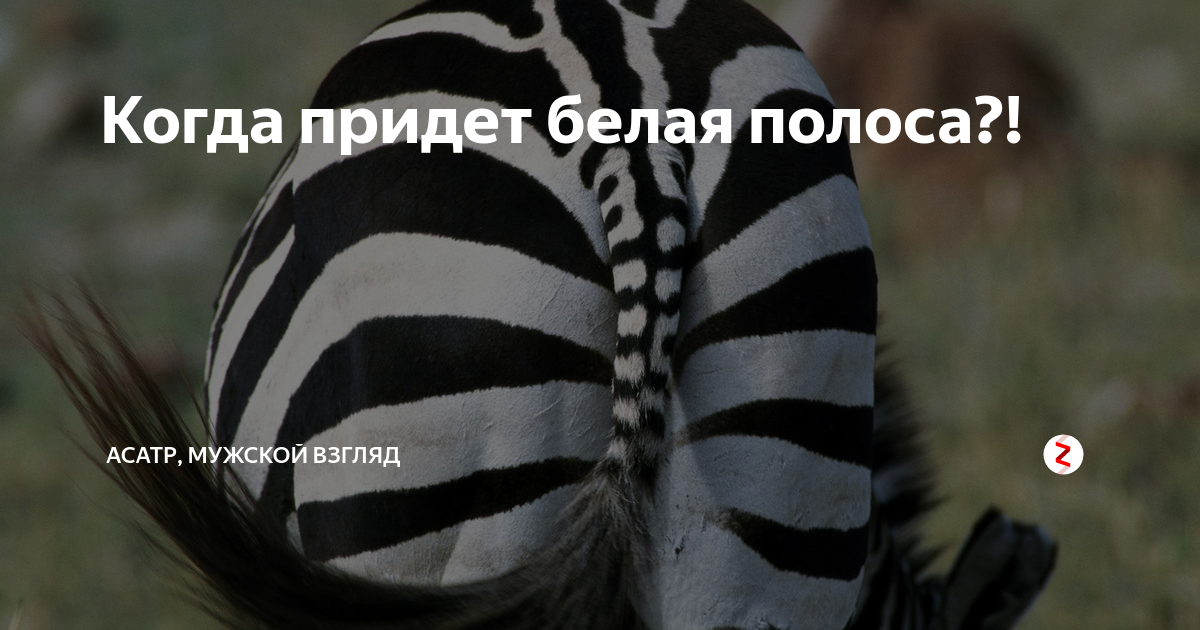 Как выглядит белая полоса Ответы : Что такое, когда всё xорошо Как вы объясните