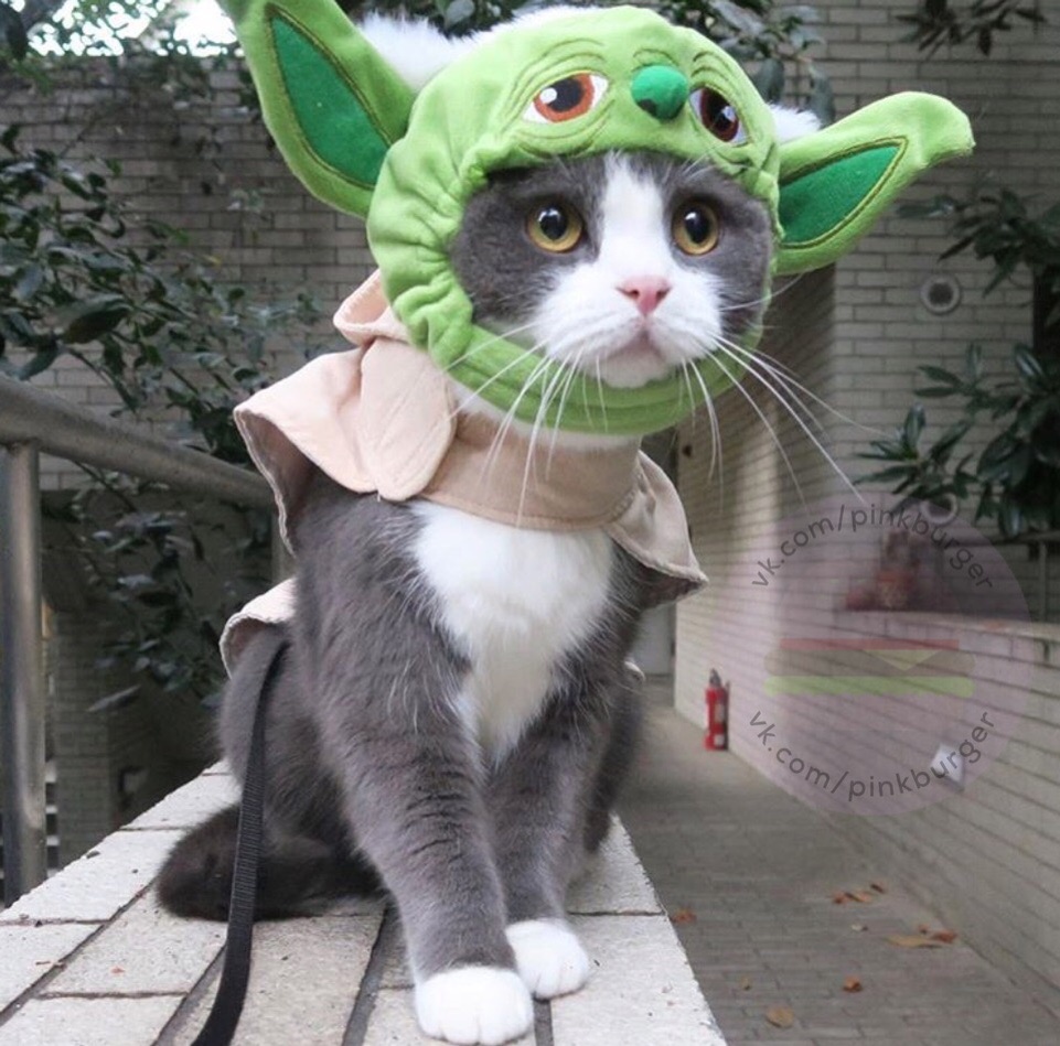 вот это я лох... но не будем об этом...