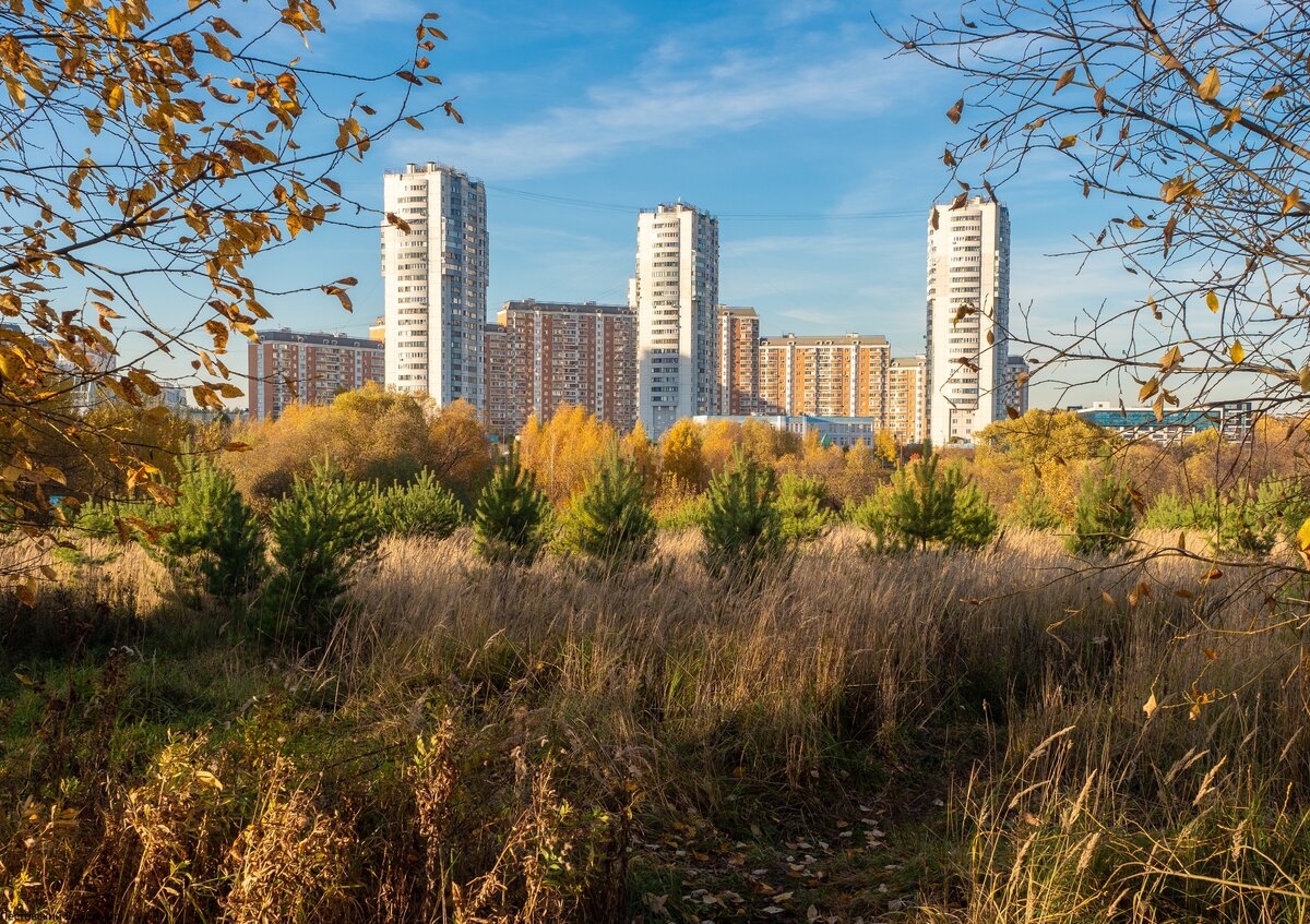 Погода в кожухово. Косино Ухтомский Кожухово. Кожухово (Москва, Косино-Ухтомский). Район Кожухово Москва. Микрорайон Кожухово Москва.