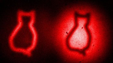 Лазер помог осуществить мысленный эксперимент Шредингера (Источник: лазер.рф)