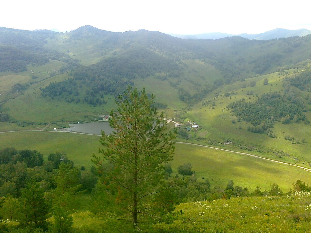 Вид на пасеку.