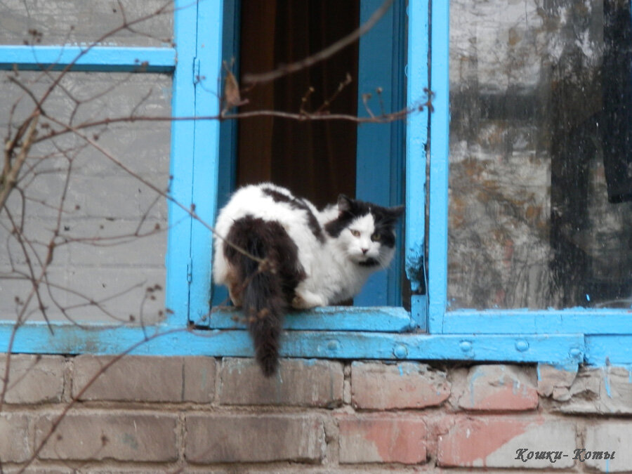 Что такое? Похоже, за мной следят.