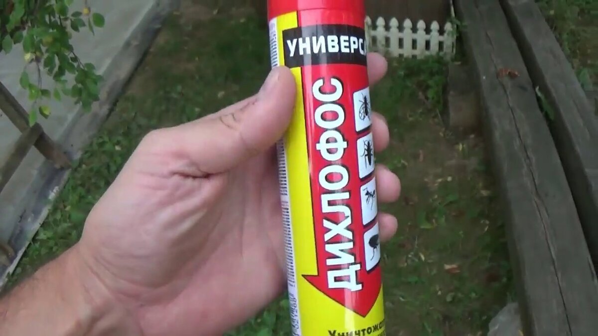 Источник фото: https://i.ytimg.com/vi/cQo2MLXMiHk/maxresdefault.jpg