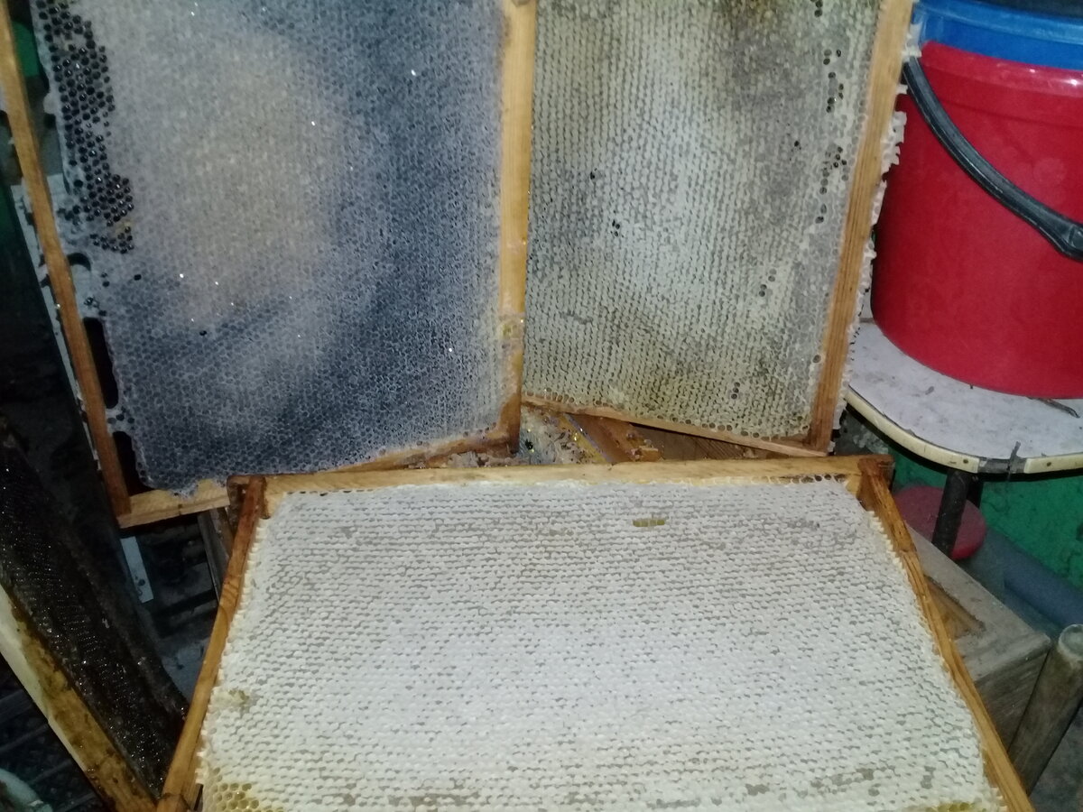  Рамки разных поколений. Ближняя этого года.