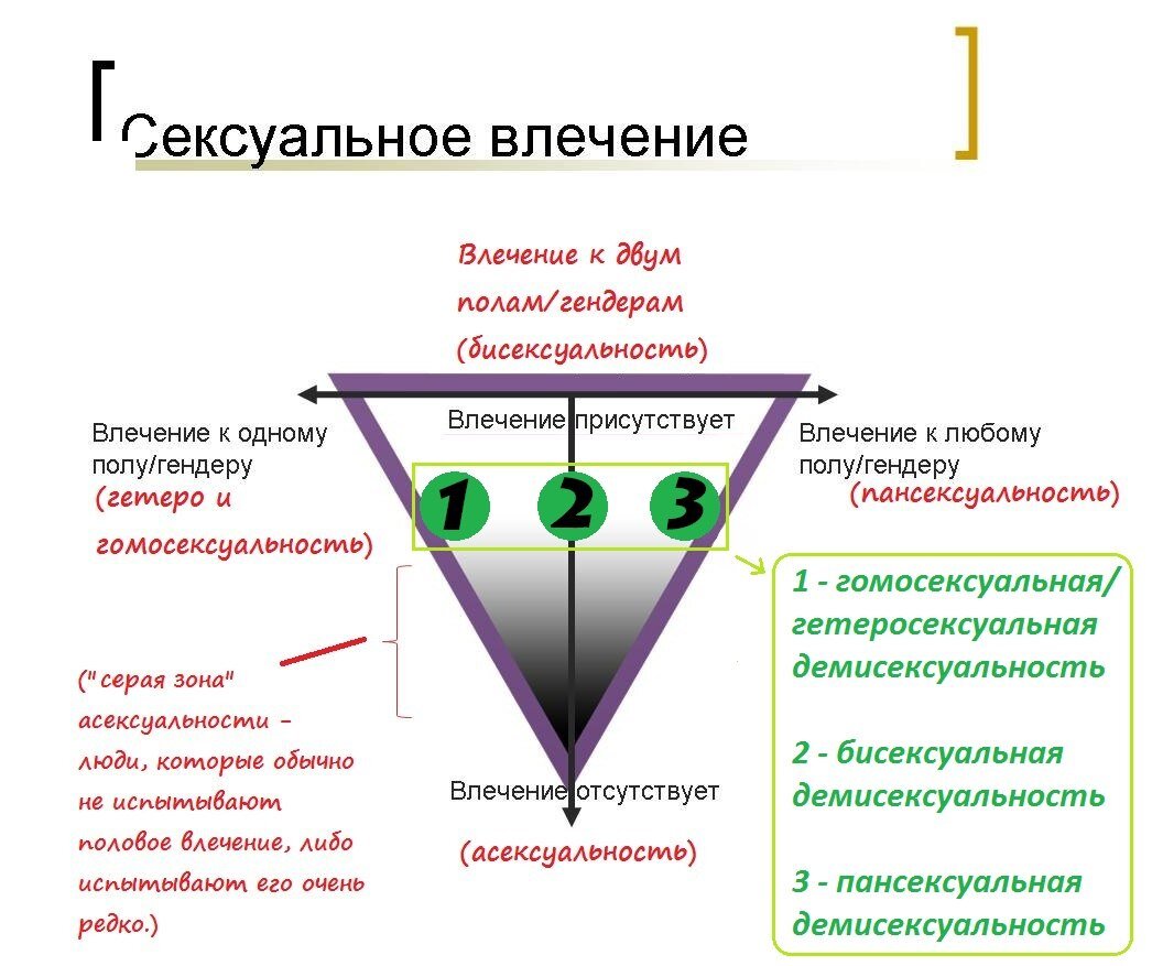 Ориентации и их названия и значения. Демисексуальность виды. Асексуальность демисексуальность. Виды влечения к человеку. Разновидности демисексуалов.