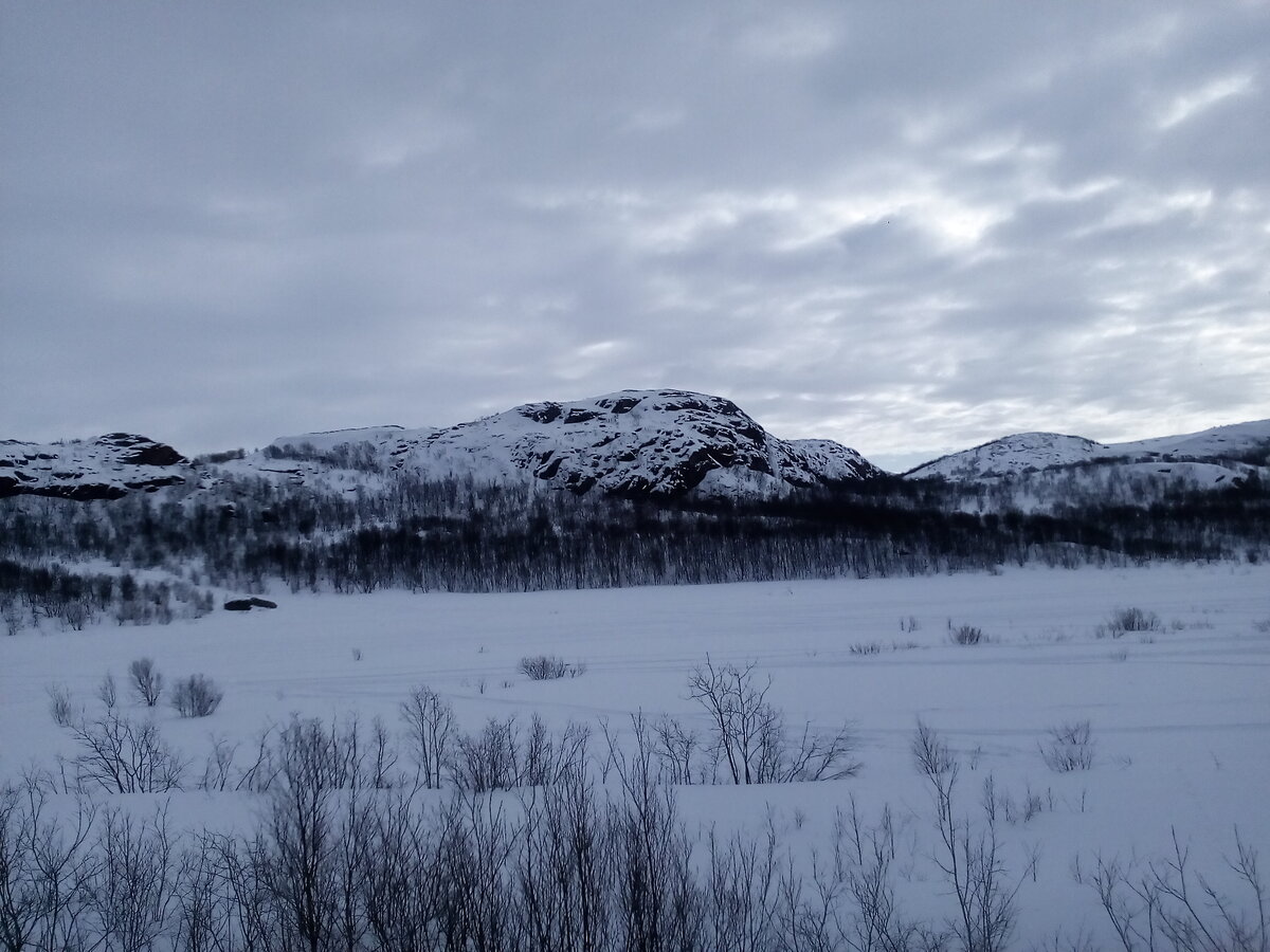 Сопка Львинка