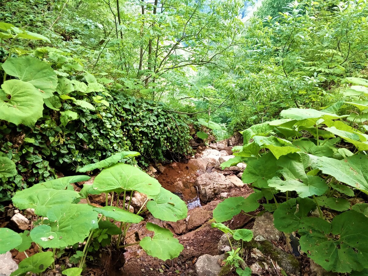 Ручей, падающий прямо с обрыва. Весной он, вероятно, превращается в полноценный водопад.