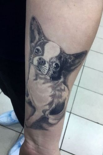 Мемориальная татуировка собаки — Cremation Ink ® |