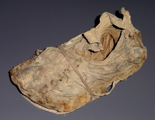 Мокасин из пещеры Хогап, штат Юта