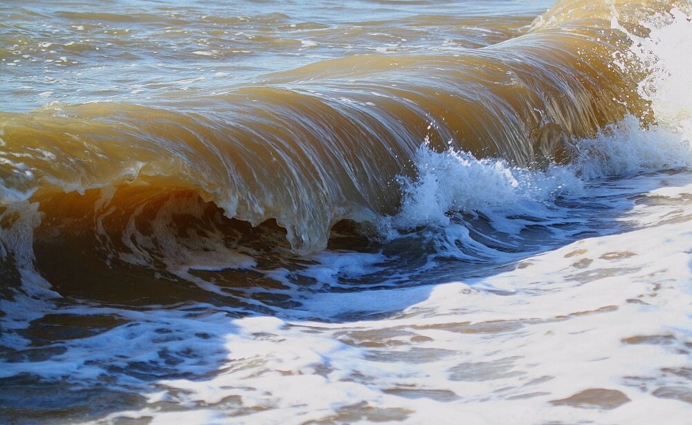 Азовская вода. Азовское море вода. Цвет Азовского моря.