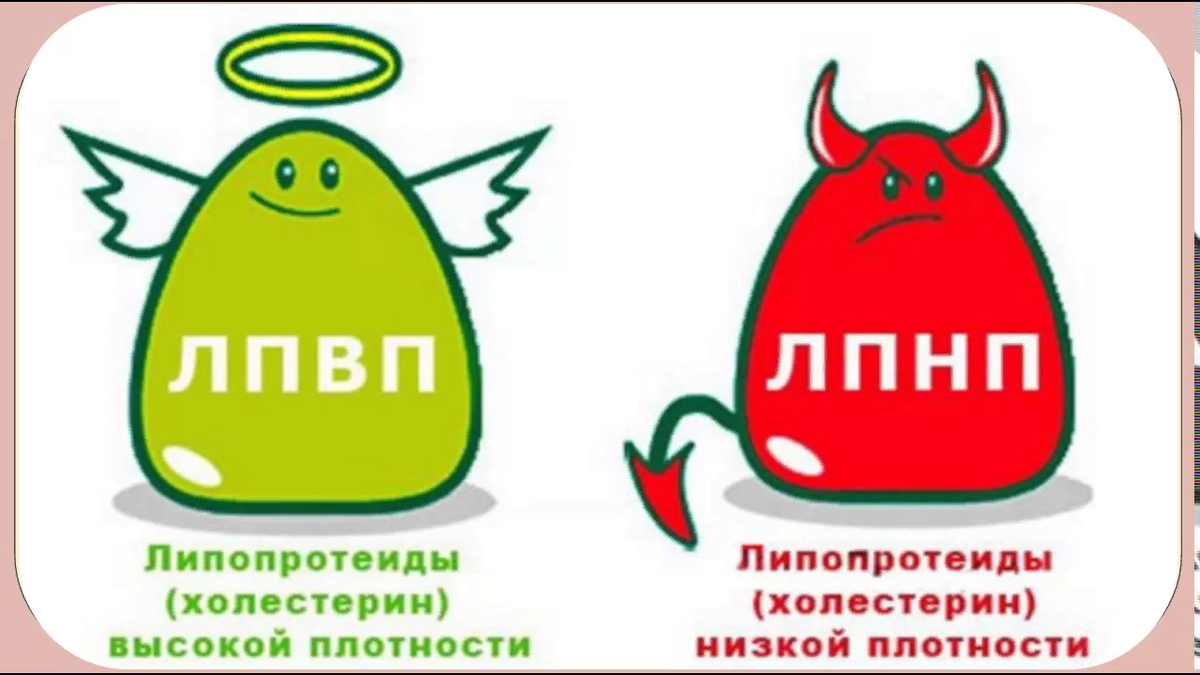Лпнп. ЛПНП И ЛПВП. Липопротеиды высокой плотности. Холестерин ЛПНП И ЛПВП плохой и хороший холестерин. Липопротеины низкой плотности