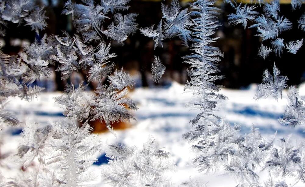 Фото – yandex.net