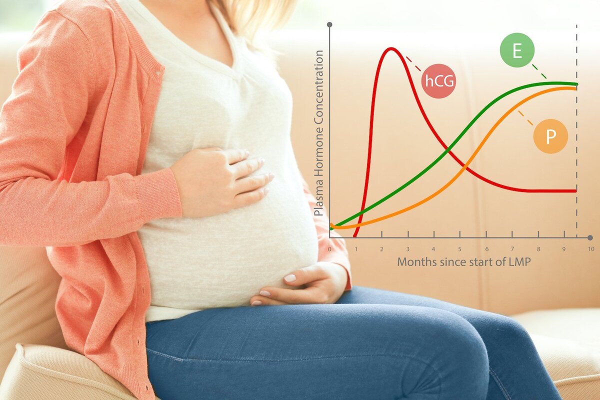какая грудь на первом месяце беременности фото 102