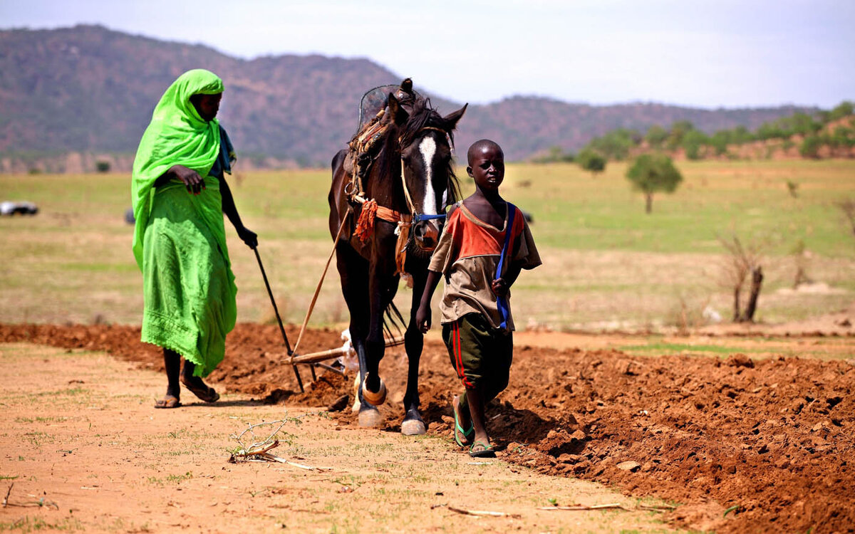 Местные жители республики Чад