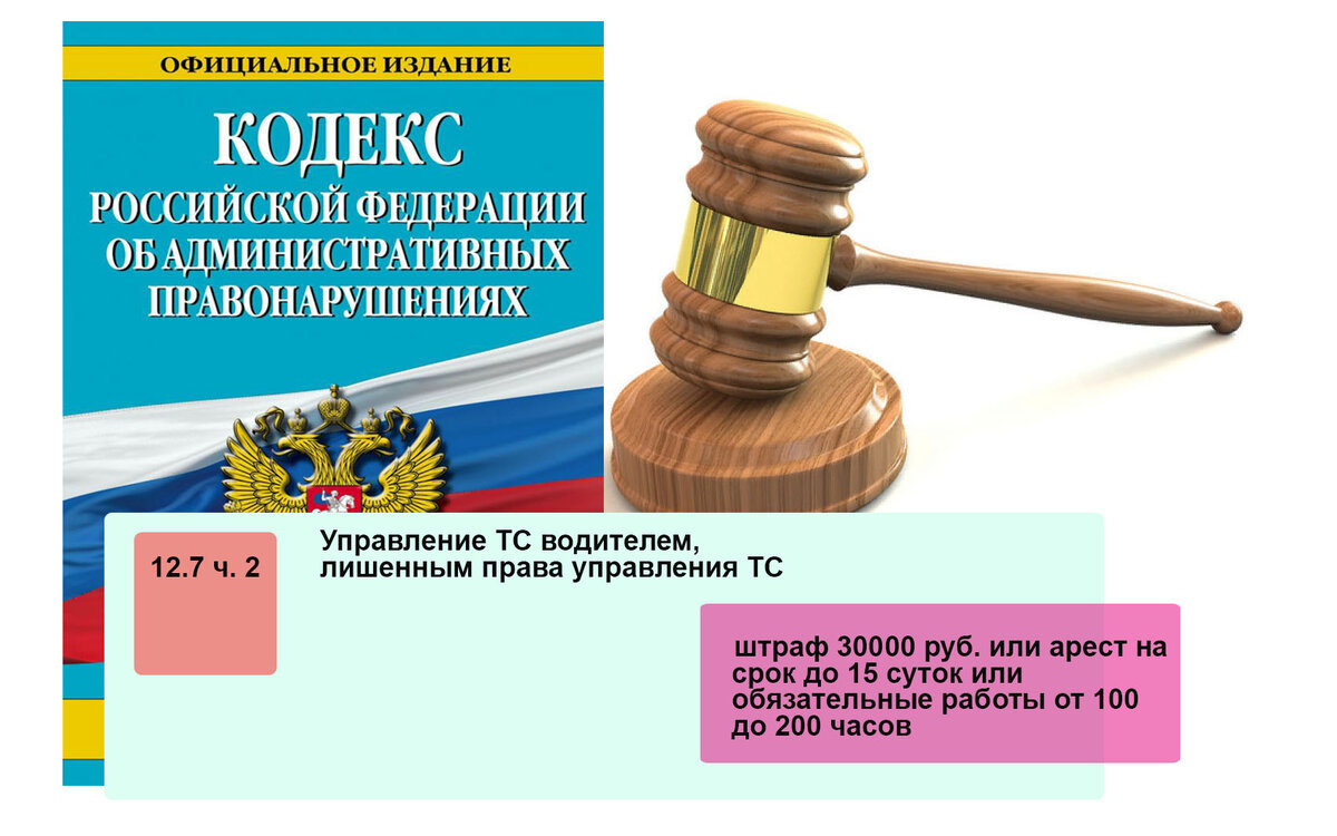 Забыл водительское удостоверение. Как быть? | Клуб Дорог | Дзен