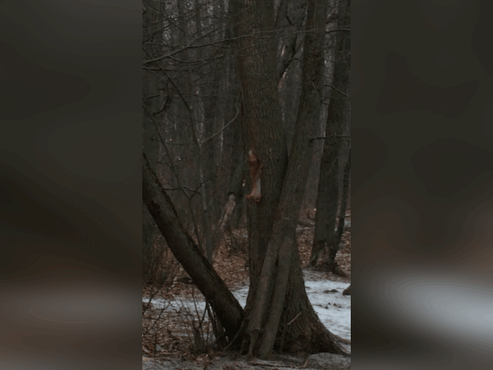 -3