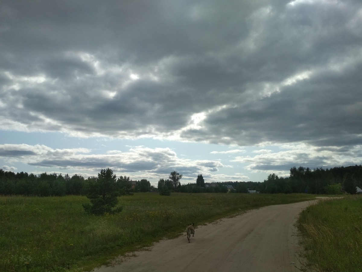 Фото автора