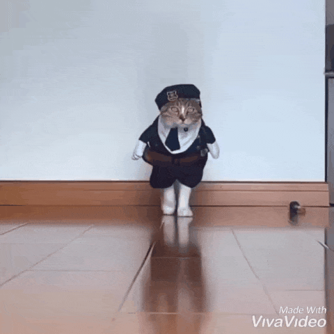 Коллекция весна-лето 2020