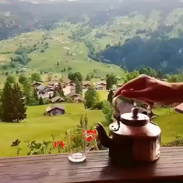 из яндекс коллекции.