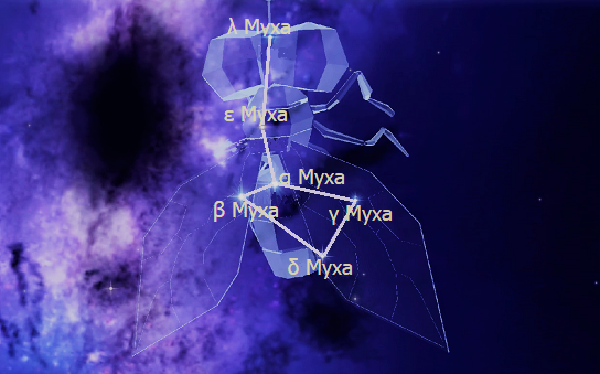 Звёзды Созвездия Муха
