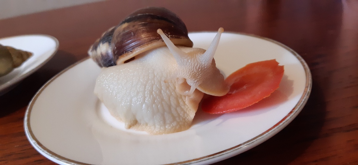 Я не страшный, это только так кажется!