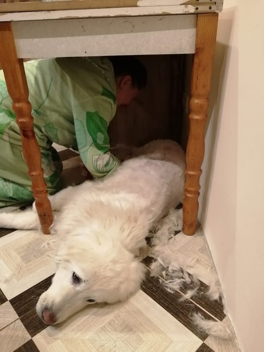 Салон красоты)