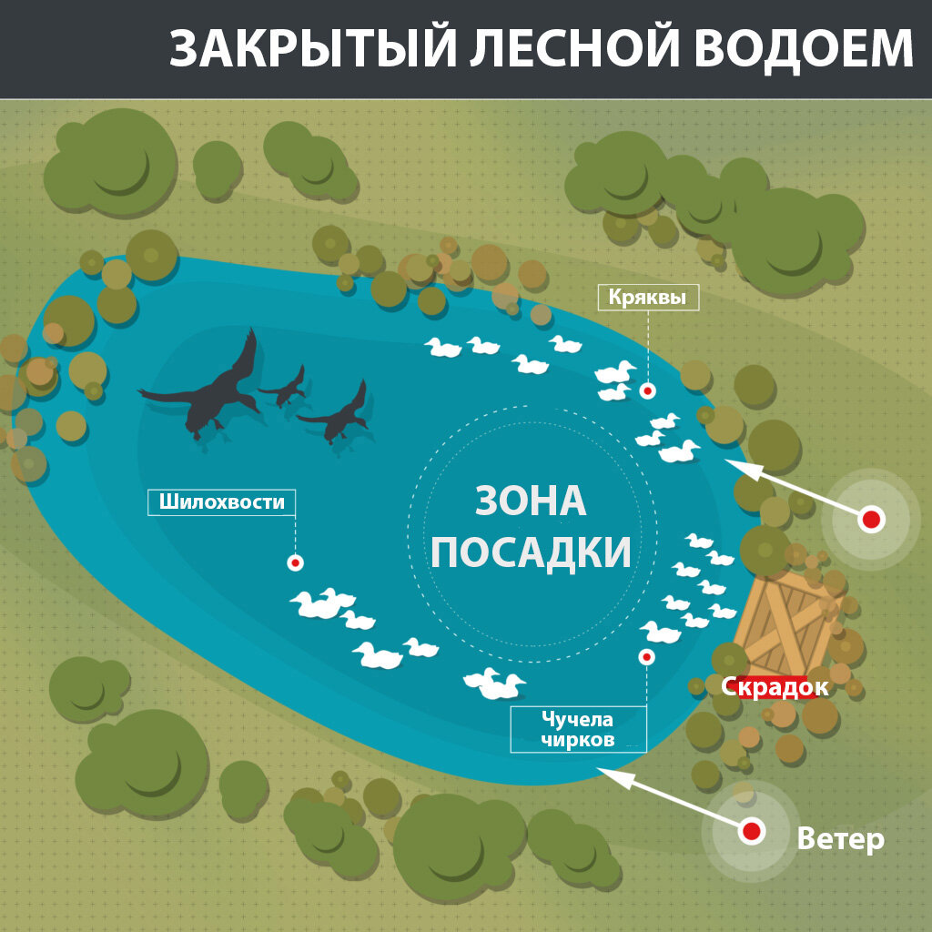 Схема расстановки гусей. Схемы расстановки чучел уток. Расстановка чучел гусей. Расстановка чучел уток на весенней охоте. Схема расстановки чучел гусей.