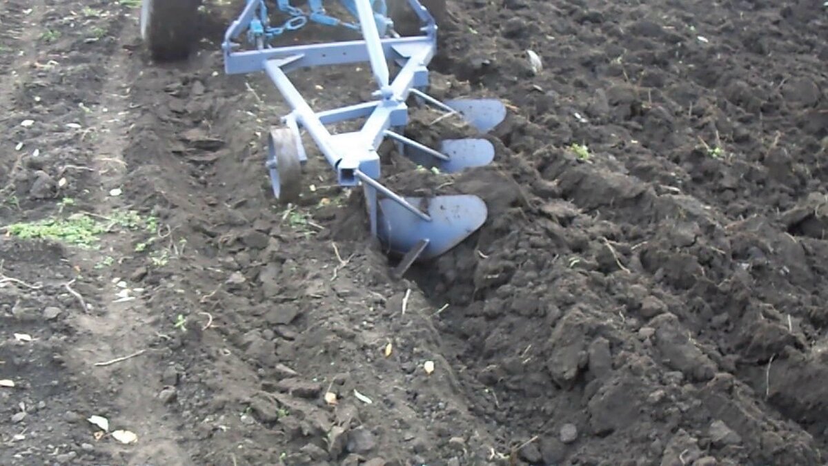 Фото из Яндекс Картинок