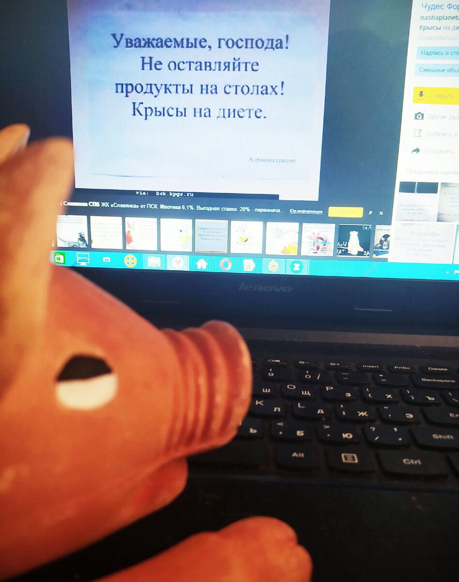 Источник фото: личный архив