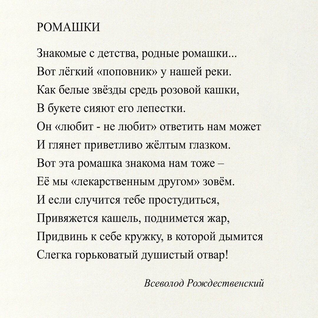 ЦВЕТУЩИЙ ИЮНЬ». Ромашка | Библиотека имени Горького Рязань | Дзен