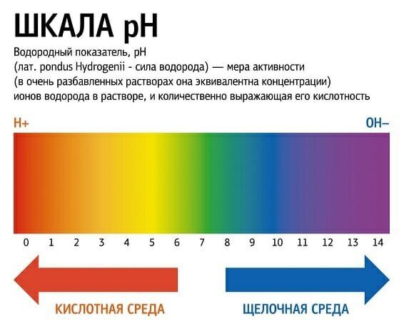 Пониженная и повышенная кислотность желудка: симптомы, лечение и как определить и вылечить