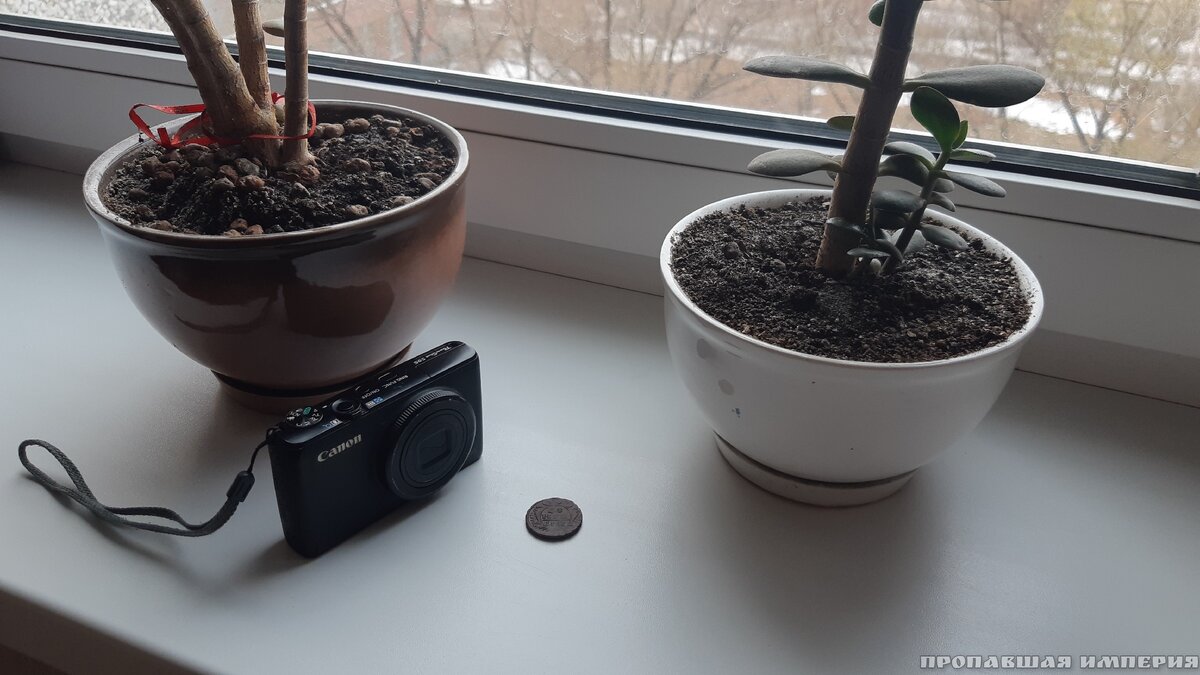 На улице пасмурно, но это не помешает нам сделать хорошие фото