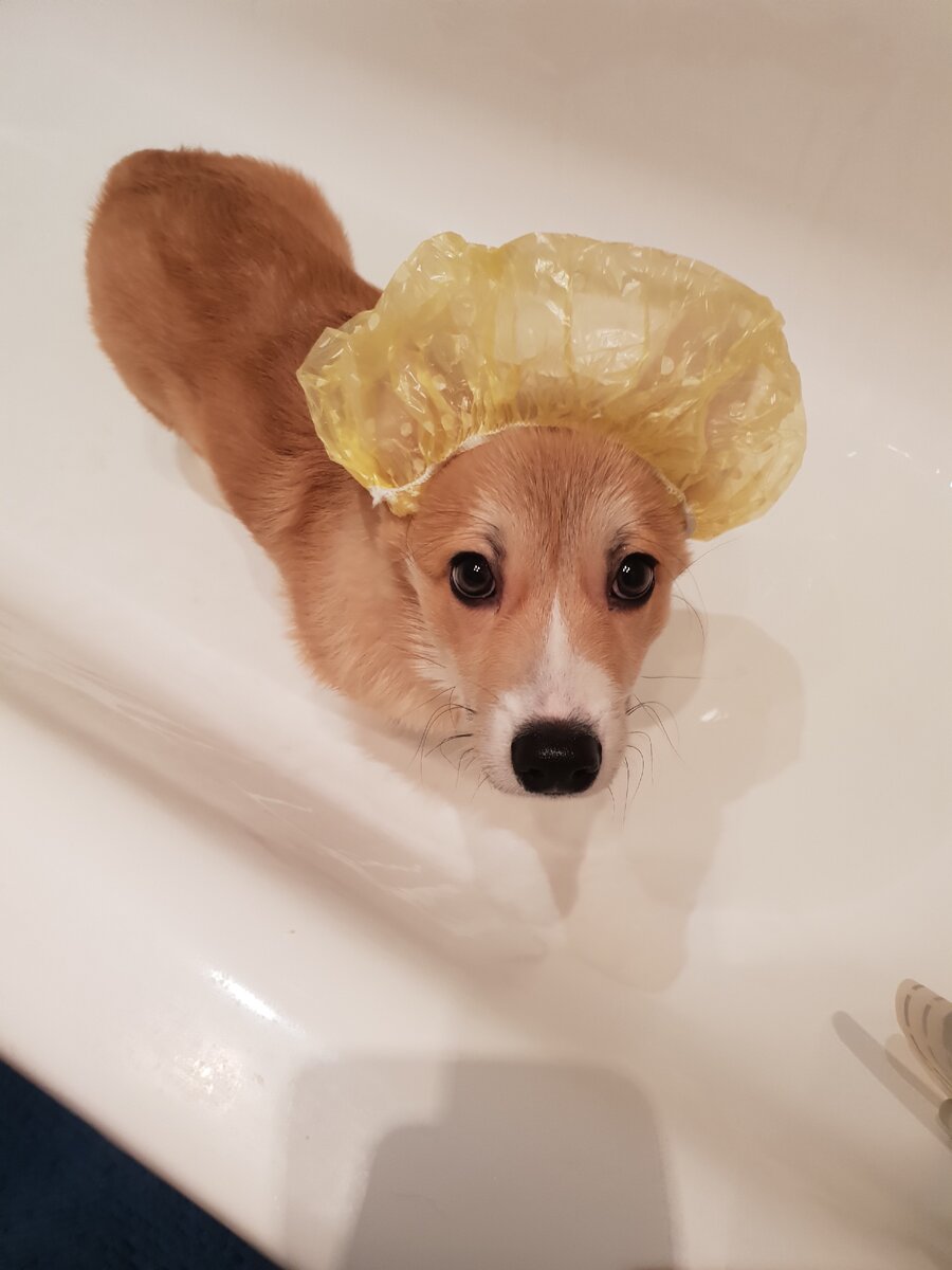 (с) фото из личного архива автора