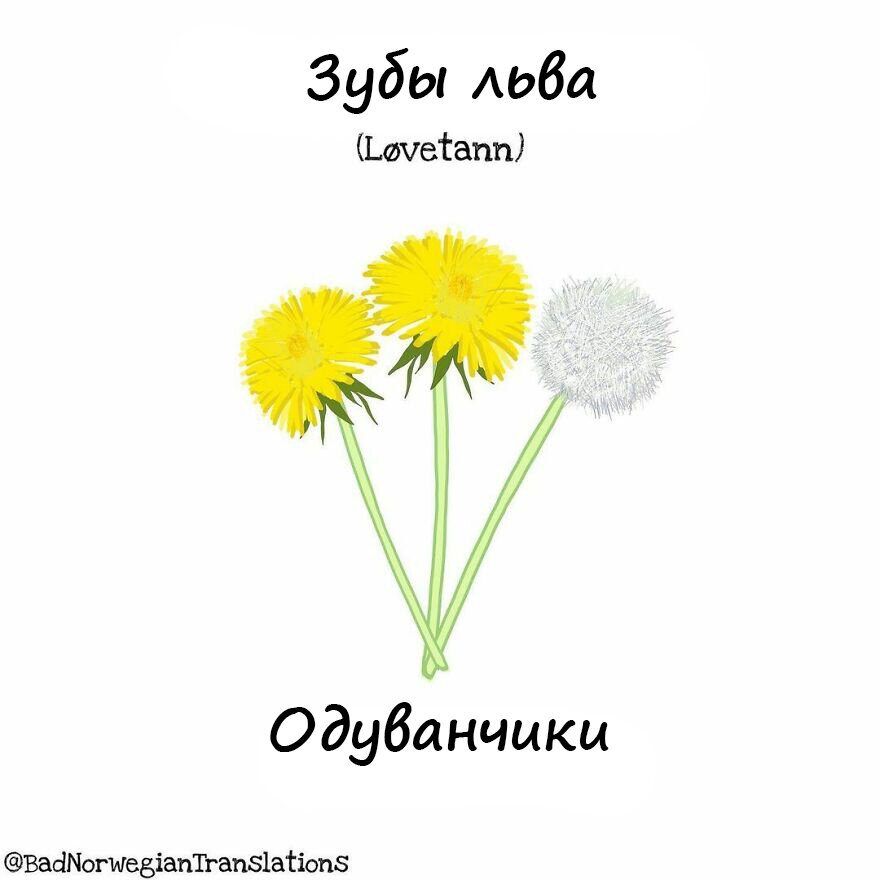 ох уж эти языки. ох уж эти языки. приколы про немецкий язык. ох уж эти языки. ох уж эти языки.