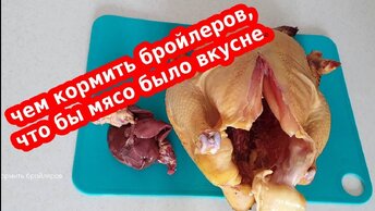 Хотите знать чем кормить бройлеров, что бы мясо было вкуснее?