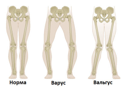 Источник: Яндекс. Картинки