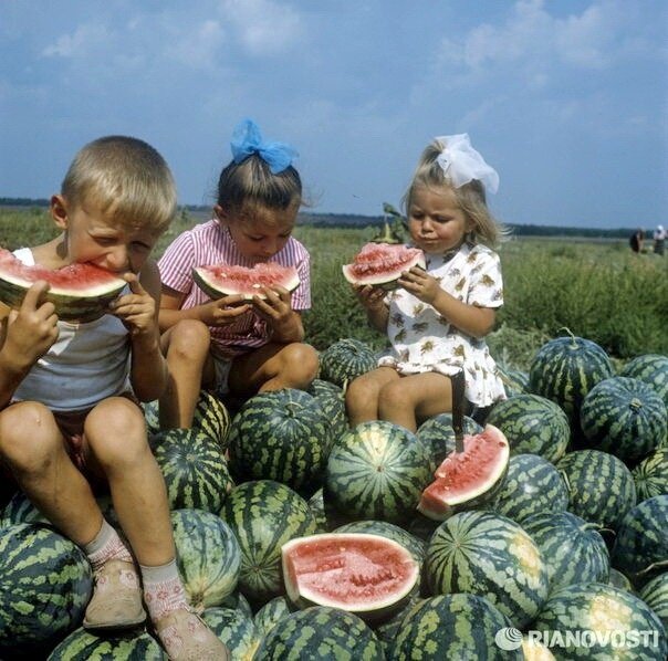 Дети едят арбузы. Краснодарский край, 1970 год. Фото взято из открытых источников: soviet-postcards.com
