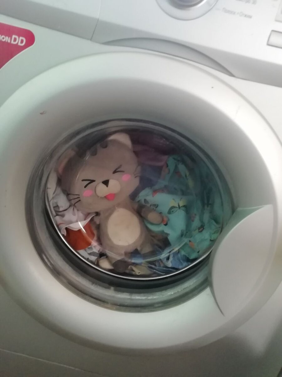 Путешествие в стиральной машине.