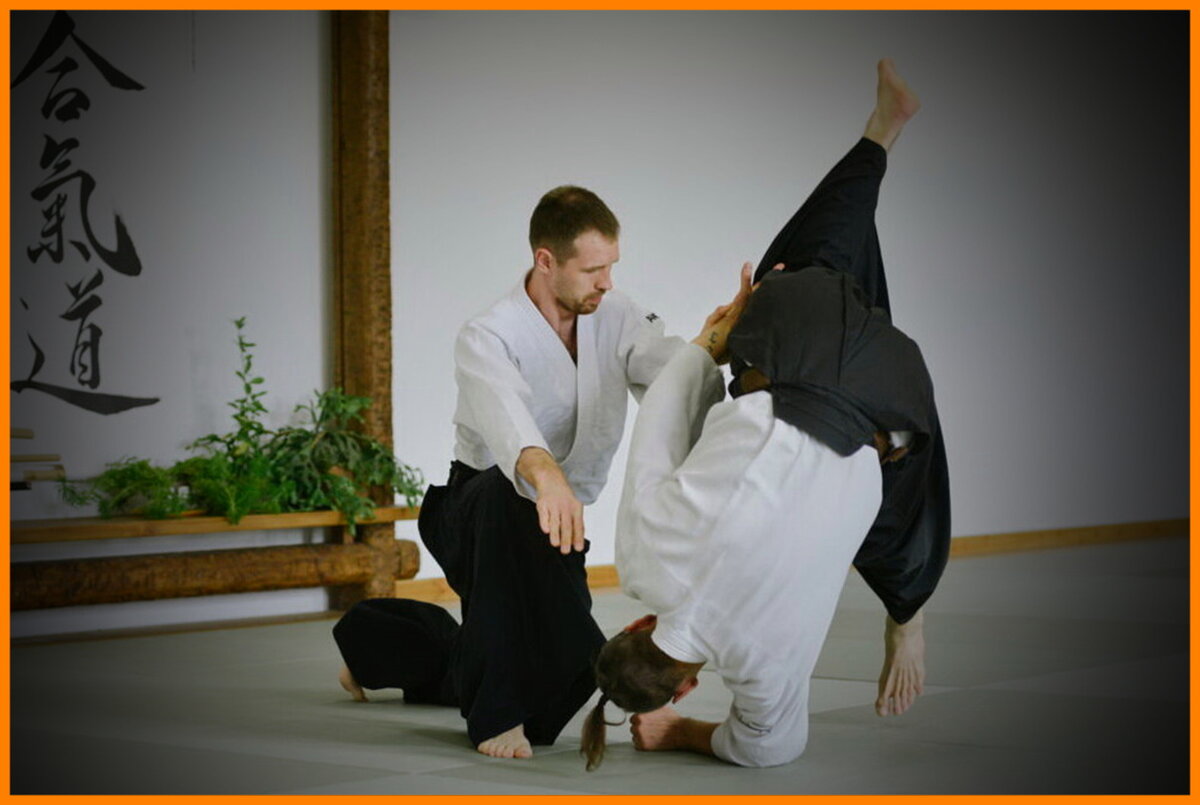 а мастер будо — это мастер жизни!